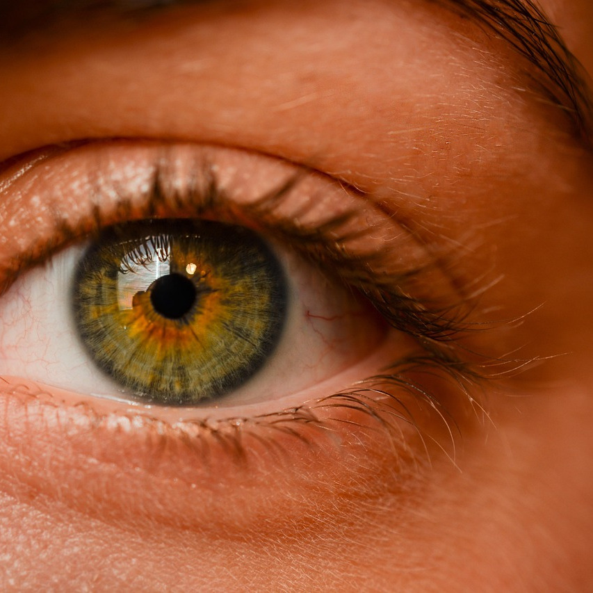 eyelash extensions application